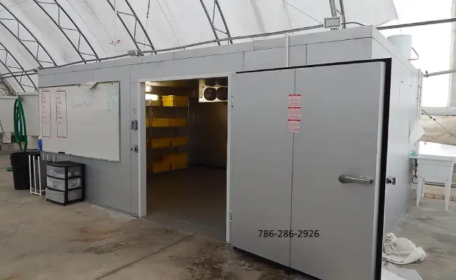 tampilan walk in freezer denga pintu terbuka