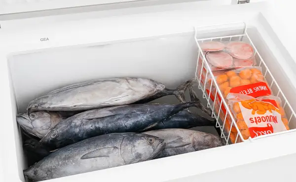 Bagian dalam chest freezer berisi ikan tongkol besar dan aneka daging beku, menunjukkan hasil perawatan optimal setelah service chest freezer rutin
