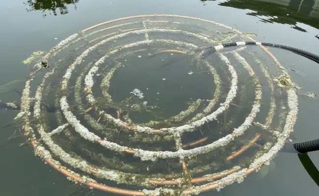 Terlihat kerak dan lumut pada evaporator coil modifikasi ac jadi chiller yang terendam di air kolam