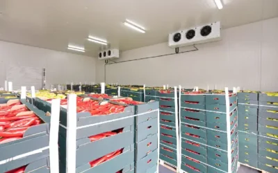 Cold Storage: Panduan Lengkap Service, Perbaikan, dan Perawatan oleh Ademin