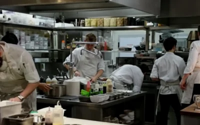 Freezer Box Tidak Beku? Selamatkan Stok Bahan Baku Anda Sebelum Basi!